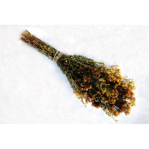 детальное фото пучок зверобоя "mr.venikoff" в интернет-магазине Дачный Эксперт